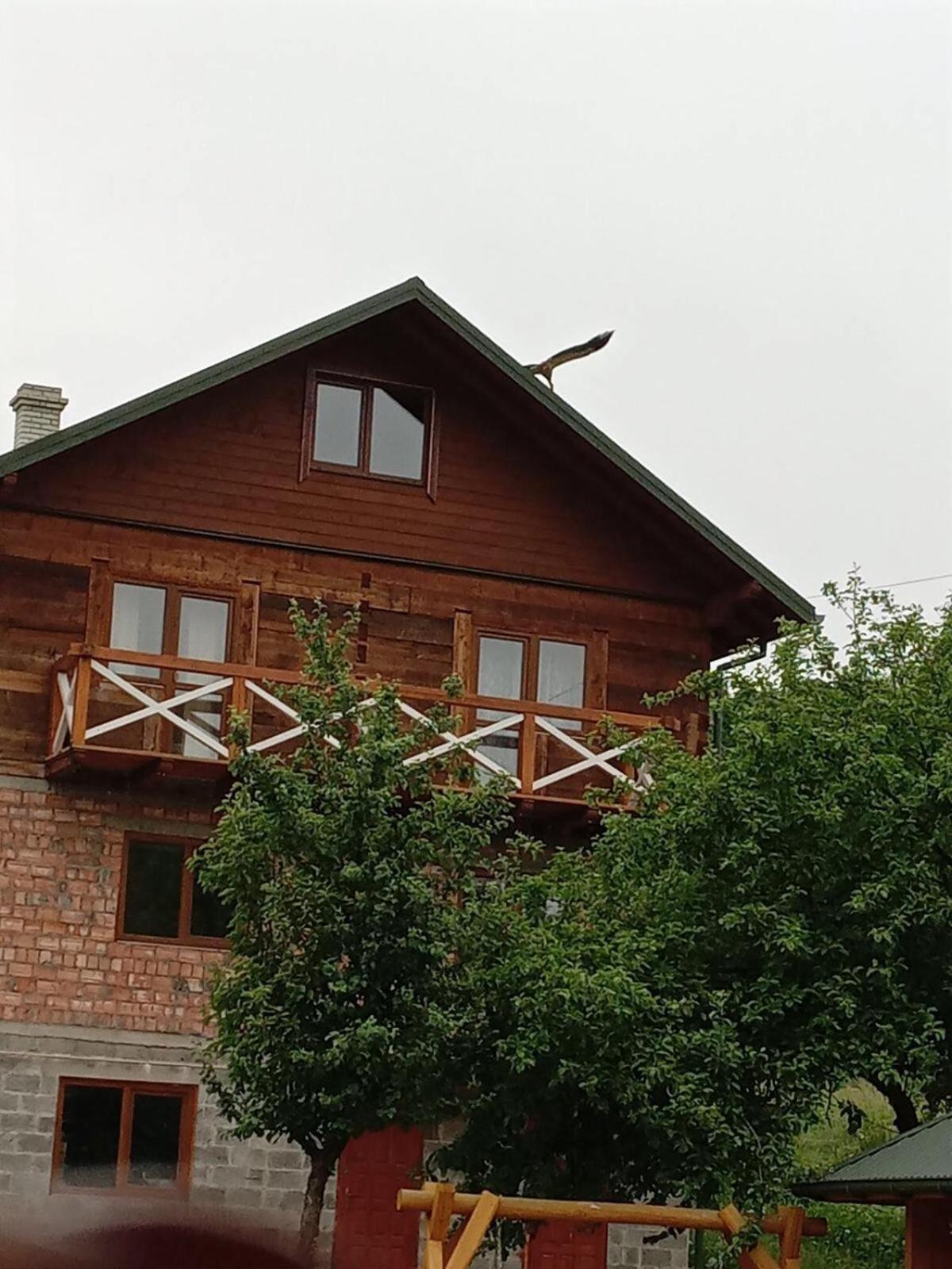 Золота Рибка Villa Slavske Dış mekan fotoğraf