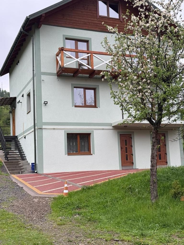 Золота Рибка Villa Slavske Dış mekan fotoğraf